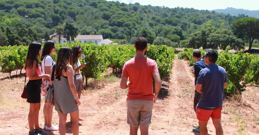 Lisbon: Arrábida and Sesimbra Day Trip with Wine - Why this makes a good day outside Lisbon