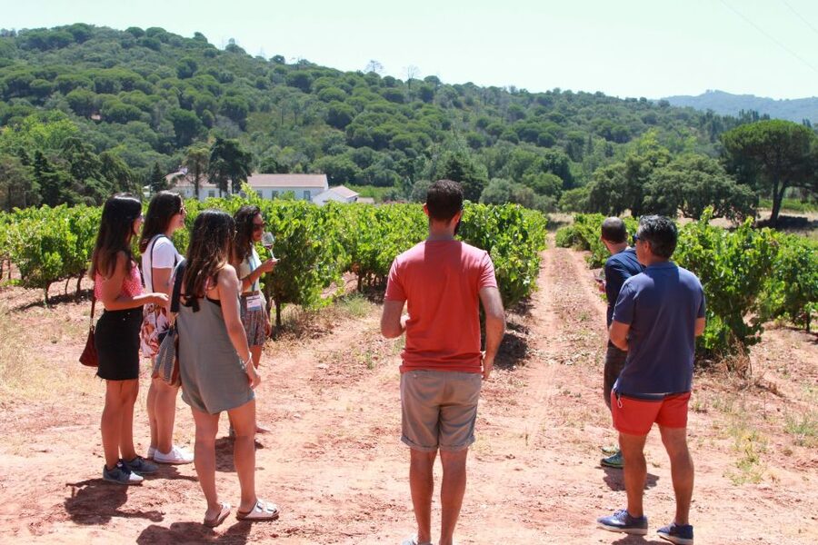 Lisbon: Arrábida and Sesimbra Day Trip with Wine - Palmela brings castle views and a taste of local wine