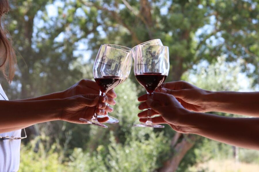 Lisbon: Arrábida and Sesimbra Day Trip with Wine - Starting at Restauradores and crossing the Vasco da Gama Bridge