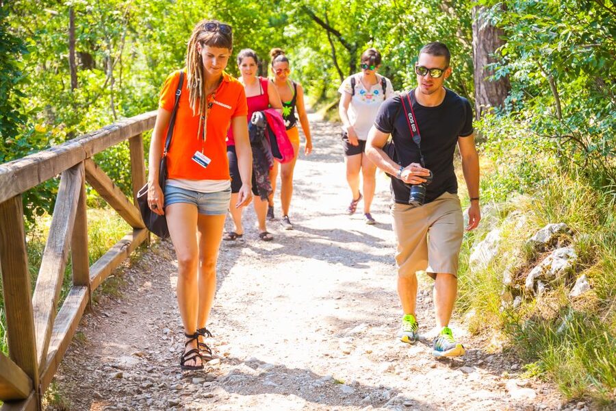 Ljubljana: Karst & Coast Full-Day Trip - The pace, guide, and small-group experience