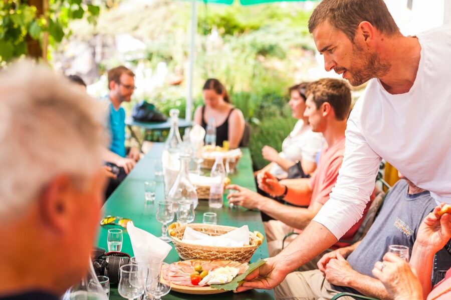 Ljubljana: Karst & Coast Full-Day Trip - What the $122 price really covers