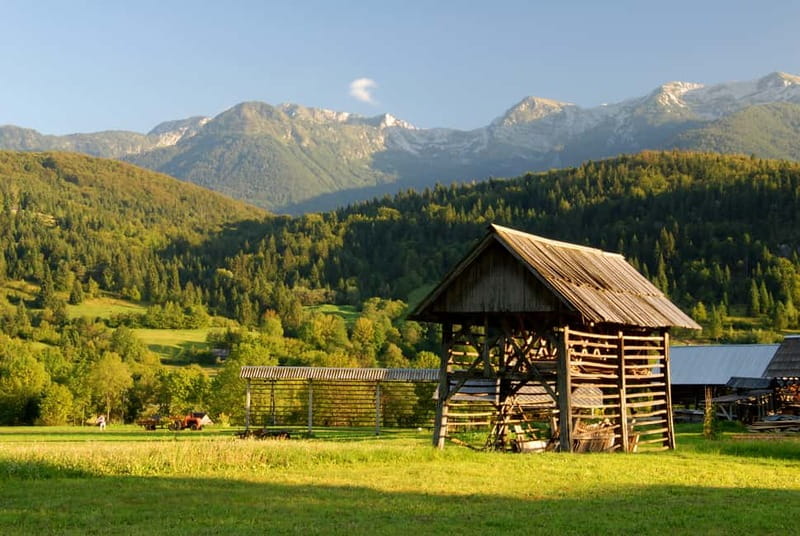 Ljubljana: Lake Bled & Triglav National Park Full-Day Trip - Zelenci Nature Reserve and the clear spring