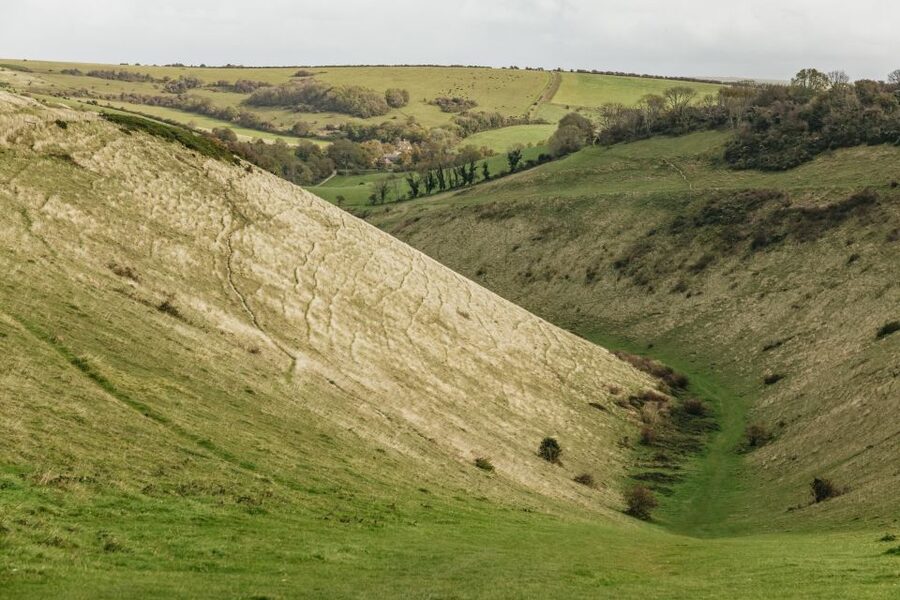 London: South Downs White Cliffs Day Trip with Train Tickets - London Bridge to Brighton, without the usual fuss