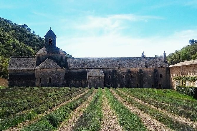Luberon Market & Villages Day Trip from Aix-en-Provence - Apt and the full market experience