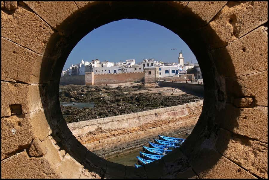 Luxury day trip to Essaouira from Marrakech - Argan oil, local products, and the famous goats