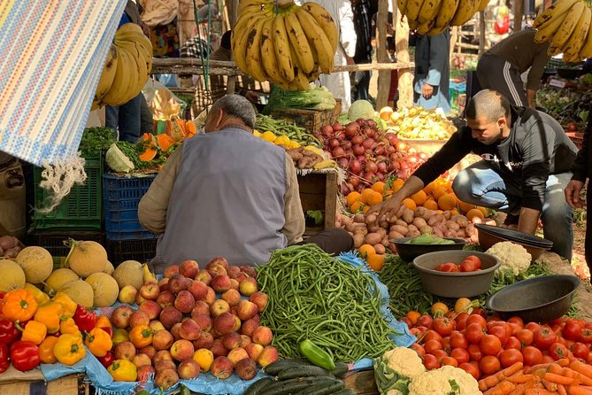 Luxury private day trip - Atlas Mountains, Agafay Desert & camels - The day at a glance