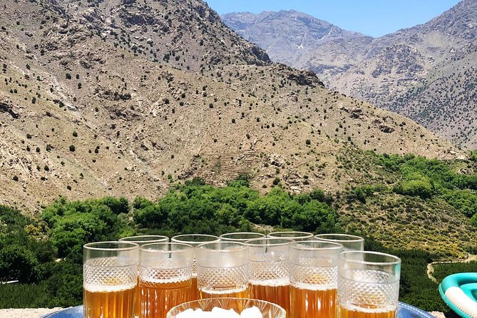 Luxury private day trip - Atlas Mountains, Agafay Desert & camels - Why the private format matters