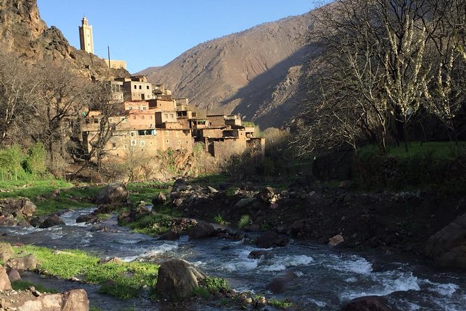Luxury private day trip - Atlas Mountains, Agafay Desert & camels - Argan oil, bread, and Moroccan tea