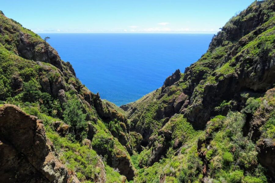 Madeira : Santo de Serra Local Farmers' Market half day trip - Viewpoints, villages, and terraces near Santa Cruz