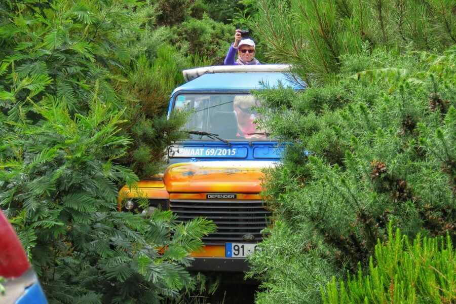 Madeira : Santo de Serra Local Farmers' Market half day trip - How the 3.5-hour schedule can work
