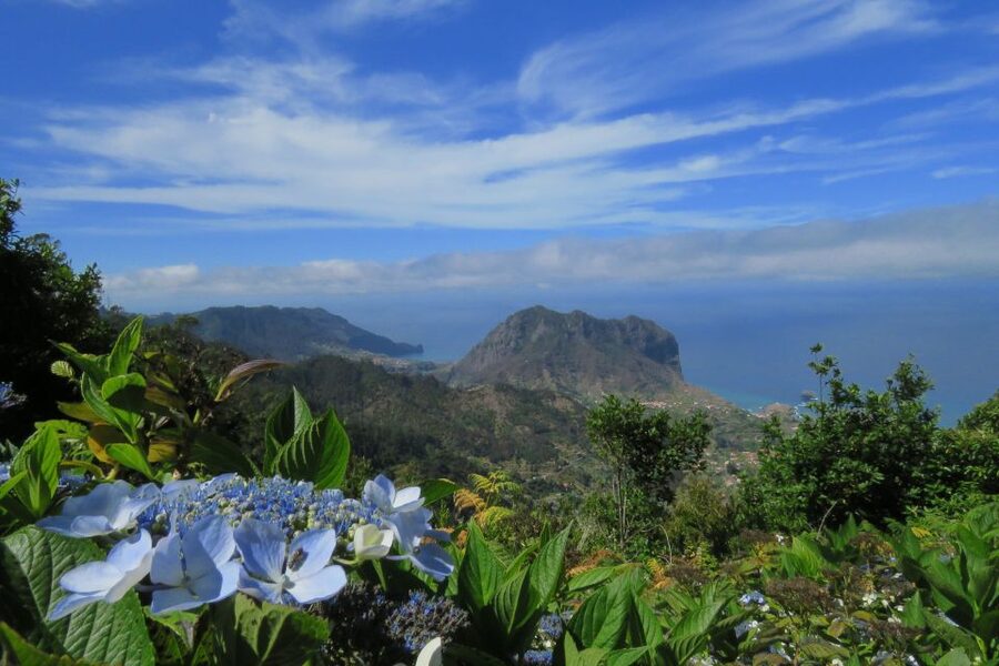 Madeira : Santo de Serra Local Farmers' Market half day trip - Is $49 a fair price for this Madeira outing?