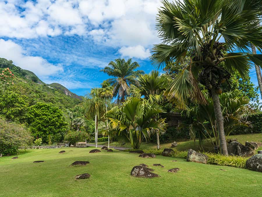 Mahé Island: Island Highlights Guided Day Trip with Lunch - Why this Mahé day trip makes sense