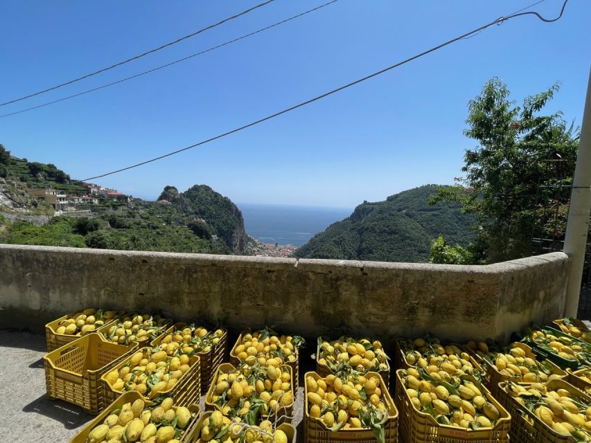 Maiori: Amalfi Coast Path of Lemons Day Trip with Tastings - Belvedere Mortella and the views toward Ravello