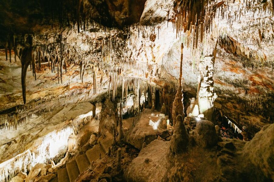 Mallorca: Caves of Drach Day Trip & Optional Caves of Hams - Is $62 a good price for this Mallorca day trip?