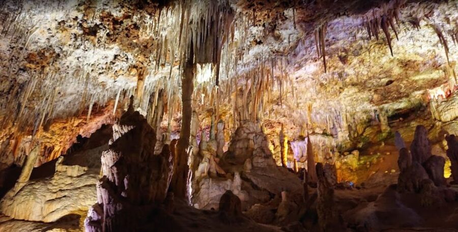 Mallorca: Day Trip to Caves of Hams & Optional Dinosaurland - Who will enjoy this outing most