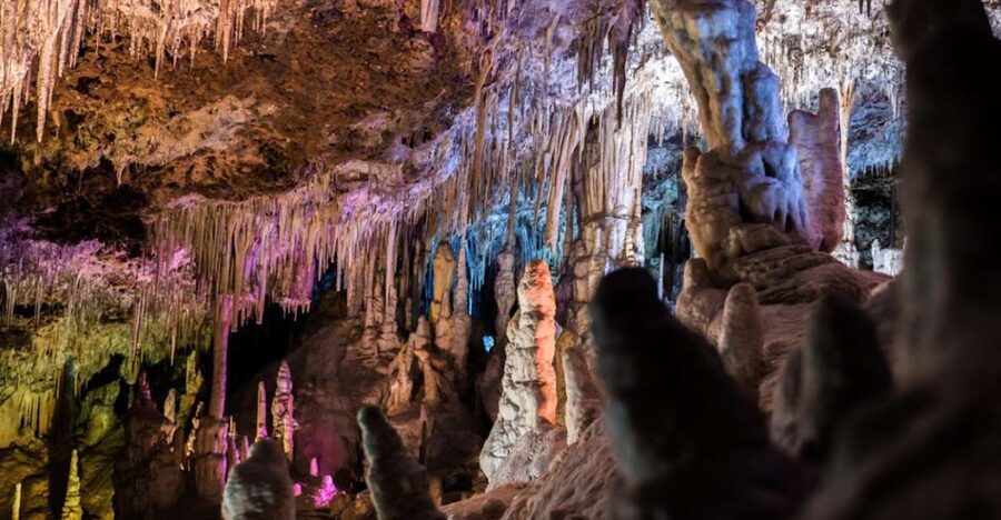 Mallorca: Day Trip to Caves of Hams & Optional Dinosaurland - What the morning pickup is really like