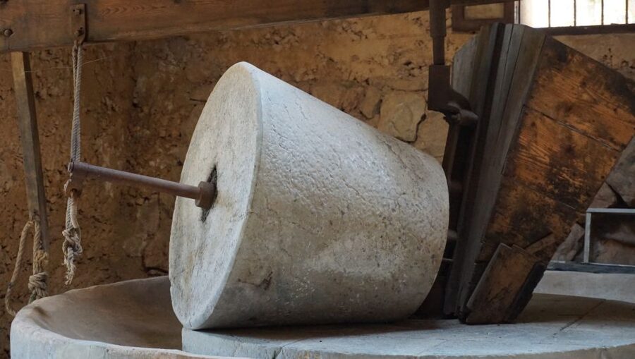 Mallorca: Day Trip to Hidden Gems of Tramuntana with Lunch - A family olive oil mill in Sóller