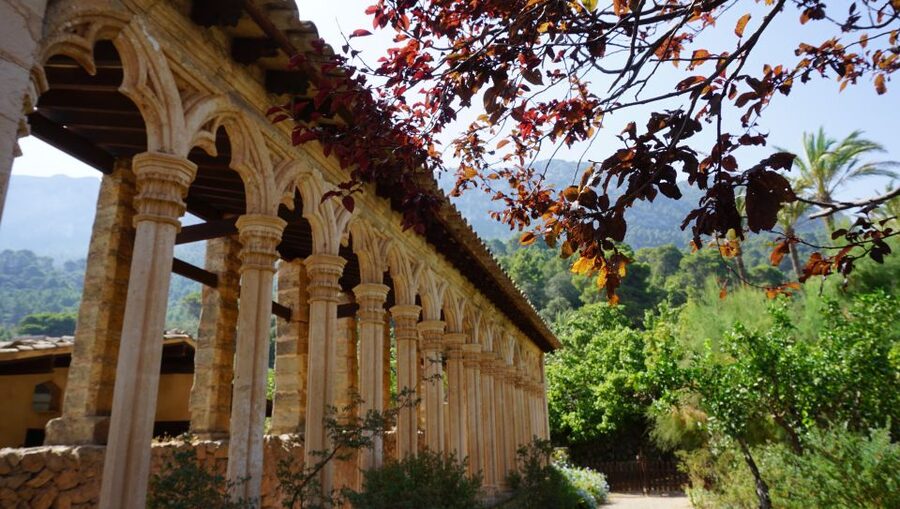 Mallorca: Day Trip to Hidden Gems of Tramuntana with Lunch - Guides who make the road time count