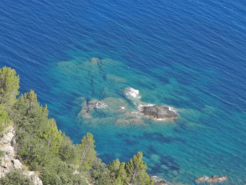 Mallorca: Day Trip to Hidden Gems of Tramuntana with Lunch - Practical advice before you go