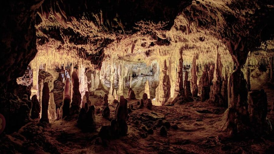 Mallorca: Drach Caves, Lake Martel, & Pearl Factory Day Trip - Half-day or full-day: choosing the right pace