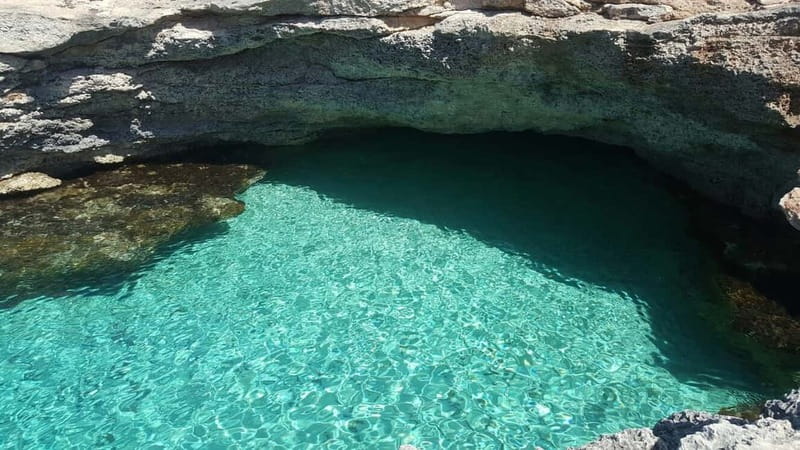 Malta: Comino, Blue Lagoon, + Sea Caves Day Trip - Who will enjoy this cruise most