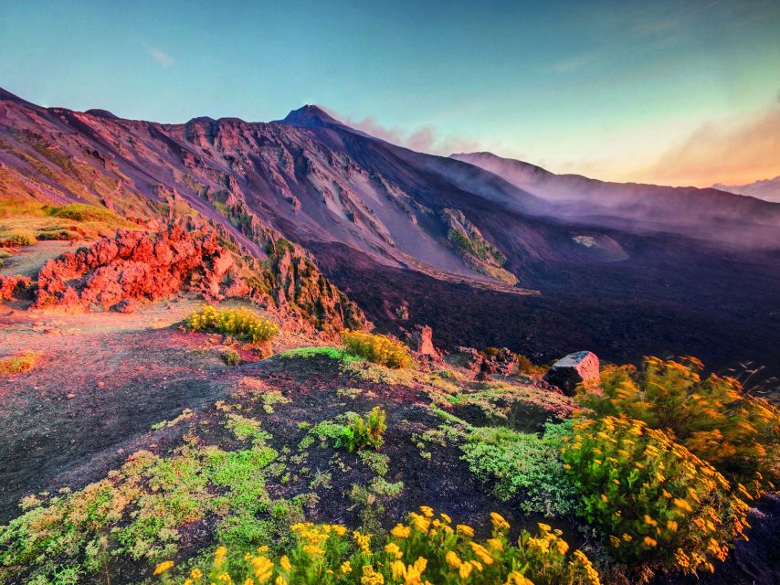 Malta: Mount Etna and Taormina Guided Day Trip by Catamaran - Mount Etna in 2.5 hours