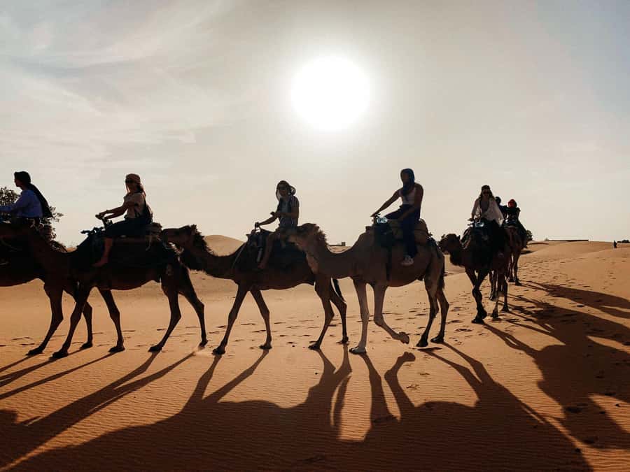Marrakech: 3-Day Trip to Fez with Sandboarding & Camel Ride - What happens at the Merzouga desert camp