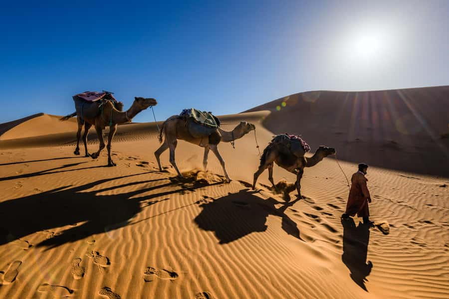 Marrakech: 3-Day Trip to Fez with Sandboarding & Camel Ride - Transport, group size, and comfort