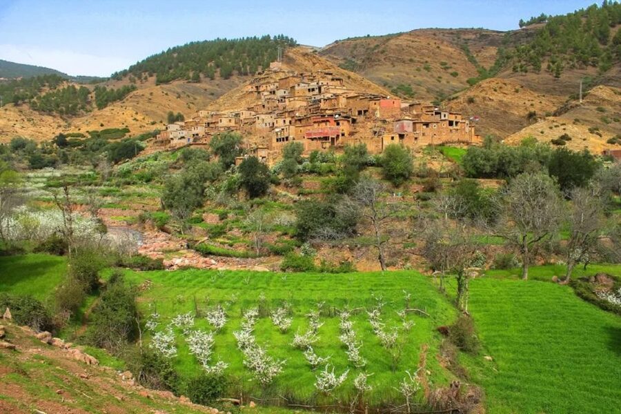 Marrakech: Atlas Mountains Day Trip, 3 Valleys & Waterfalls - Asni Valley and the weekly Berber market