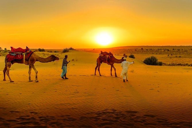 Marrakech Day Trip: Agafay Desert, Atlas Mountains and Camel Ride - Five things to know before you book