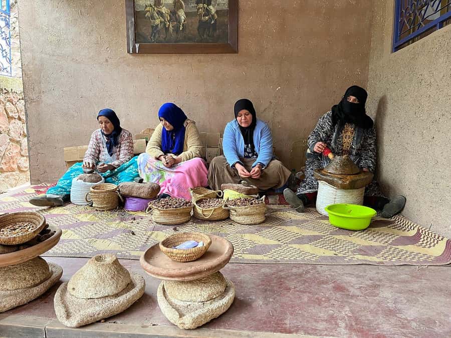 Marrakech: Day Trip To Atlas Mountains Ourika Waterfall - Who will enjoy this Ourika Valley trip?