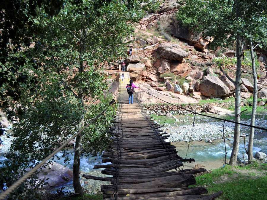 Marrakech Day Trip to Ourika valley & Waterfalls - Key things to know before you book