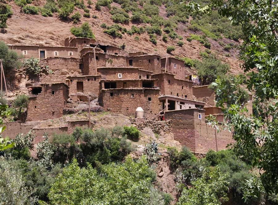 Marrakech Day Trip to Ourika valley & Waterfalls - Hiking toward the Ourika waterfalls