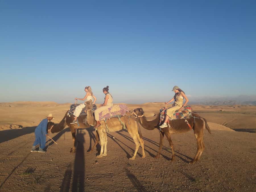Marrakech Day Trip to Ourika valley & Waterfalls - Meeting Berber life over mint tea
