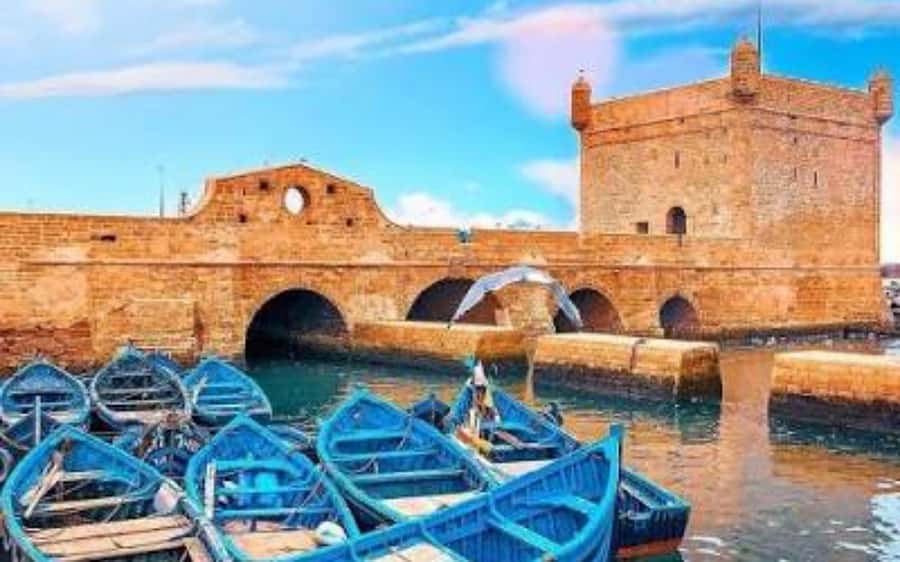 Marrakech: Day Trip to the Beautiful and Historic Essaouira - Fresh fish and lunch near the fishing port