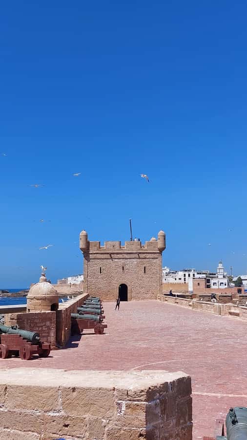 Marrakech: Day Trip to the Beautiful and Historic Essaouira - What the $15 price really covers