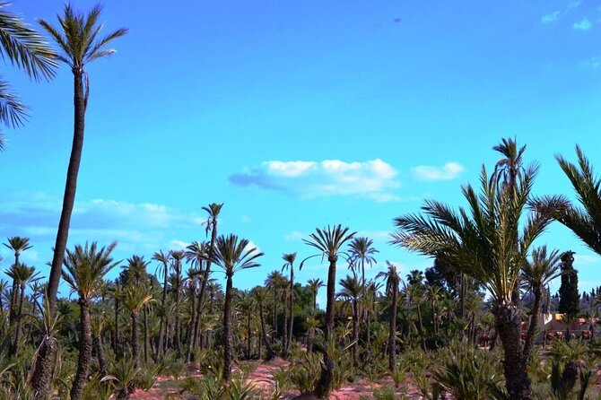 Marrakech Day Trip with Camel Ride from Casablanca - Bahia Palace and the cost of seeing inside