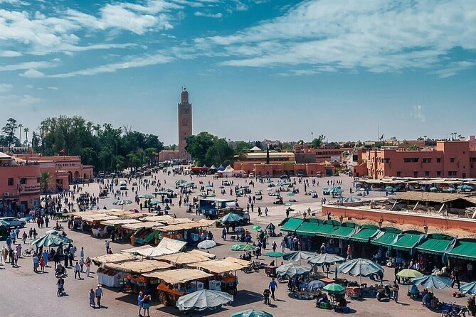 Marrakech Day Trip with Camel Ride from Casablanca - Why the private guide matters, and where the format can surprise you