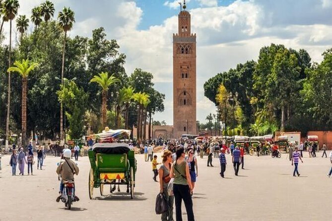 Marrakech Day Trip with Camel Ride from Casablanca - La Palmeraie and the 45-minute camel ride