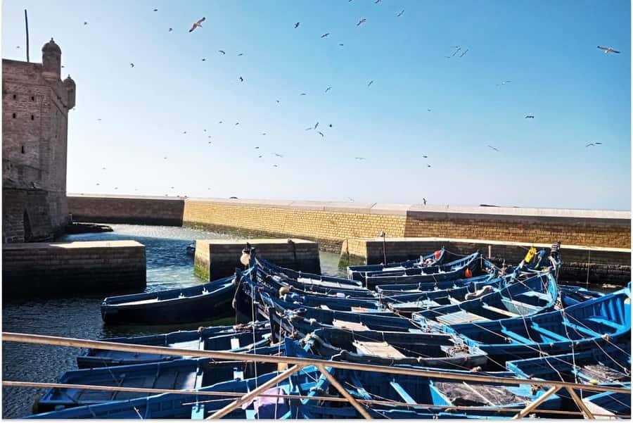 Marrakech: Essaouira Day Trip with Guided Tour - Why Essaouira makes a good day from Marrakech
