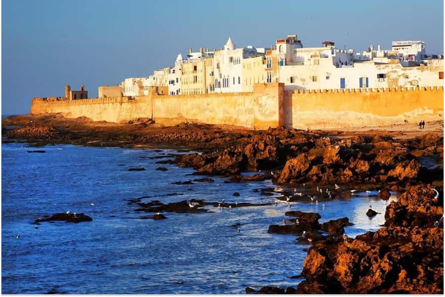 Marrakech: Essaouira Day Trip with Guided Tour - The port, blue boats, and fresh seafood