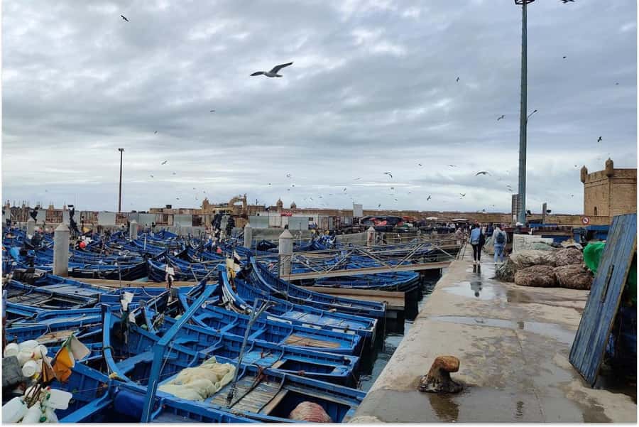 Marrakech: Essaouira Day Trip with Guided Tour - Wandering the Medina and Mellah
