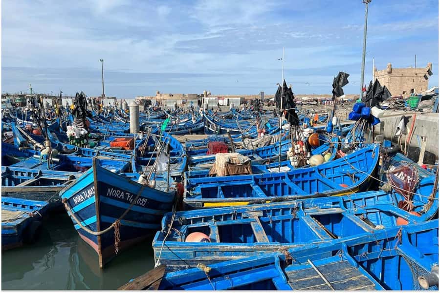 Marrakech: Essaouira Day Trip with Guided Tour - The morning drive through the Haouz plains