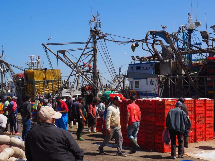 Marrakech: Essaouira Day Trip with Transfers and Co-op Visit - Why Essaouira is worth the long ride from Marrakech