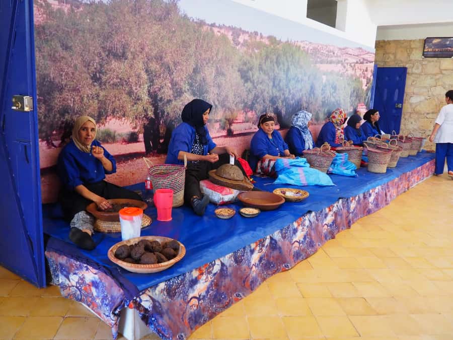 Marrakech: Essaouira Day Trip with Transfers and Co-op Visit - Arriving in Essaouira with four hours to explore