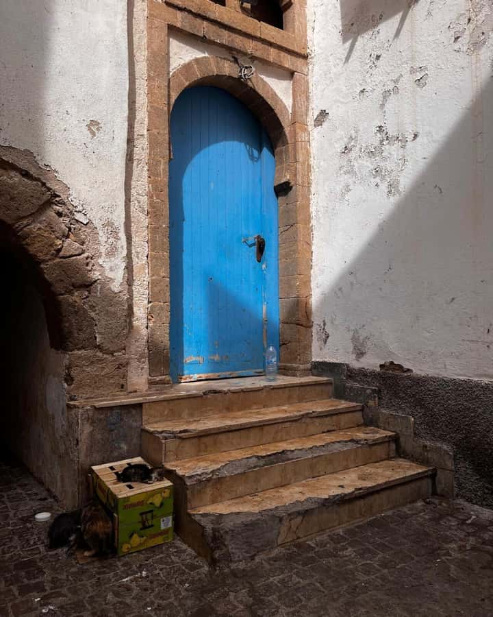 Marrakech: Essaouira Day Trip with Transfers and Co-op Visit - How the guide and driver affect the day