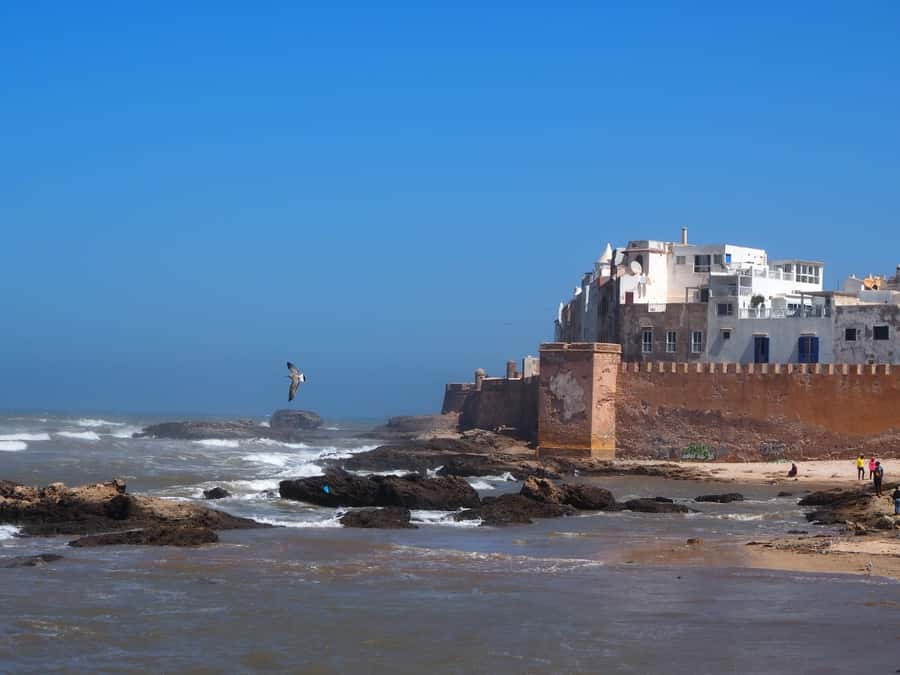 Marrakech: Essaouira Day Trip with Transfers and Co-op Visit - Morning pickup and the three-hour road journey