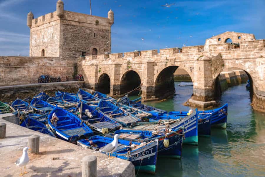 Marrakech: Essaouira Full-Day Trip - Key points to know before booking