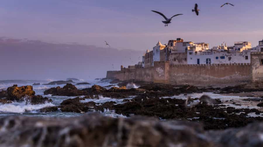 Marrakech: Essaouira Full-Day Trip - The three-hour drive west