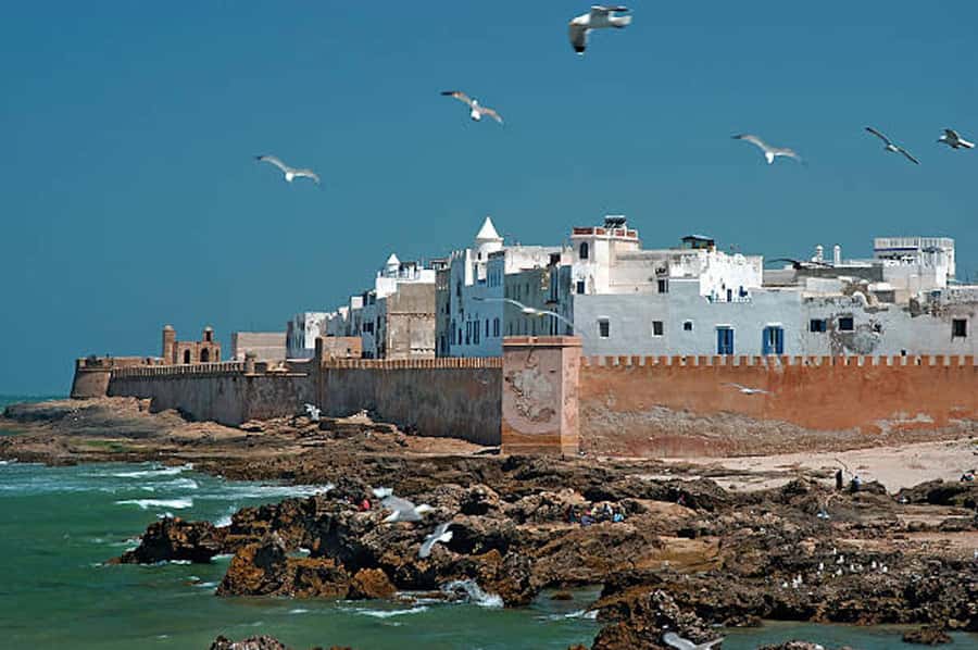 Marrakech: Essaouira Full-Day Trip - Lunch: fresh fish, with your own budget